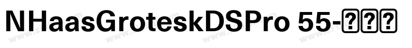 NHaasGroteskDSPro 55字体转换